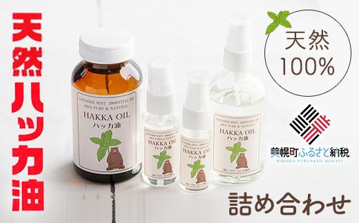 ハッカ油詰め合わせ【ハッカ油200ml+ハッカ油スプレー100ml+30ml+20ml】【配送不可地域：沖縄】 ふるさと納税 人気 おすすめ ランキング ハッカ ハッカ油 天然ハッカ セット